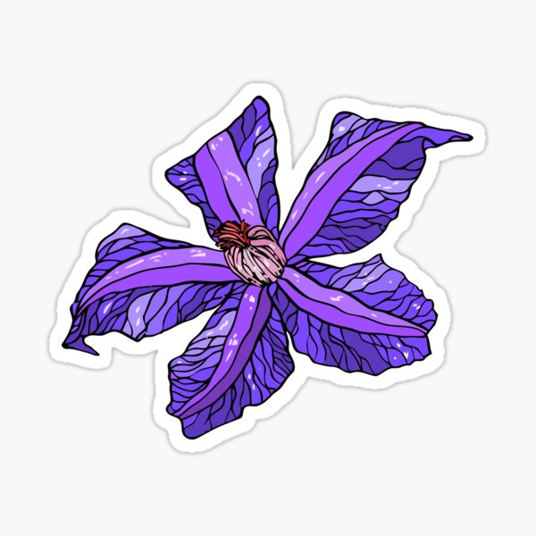 clematis Sticker
