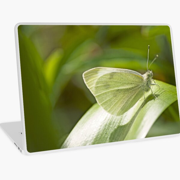 Butterfly Dreaming Laptop Skin
