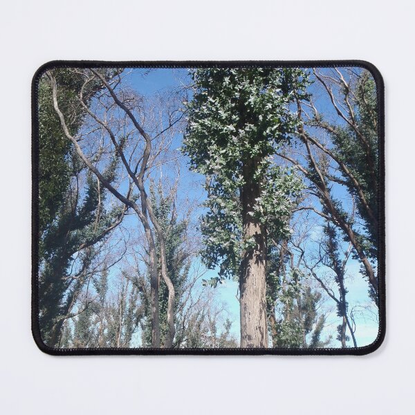 Item preview, Regrowth after fire designed and sold by HaniaAnia.