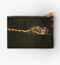 Dragonfly Studio Pouch