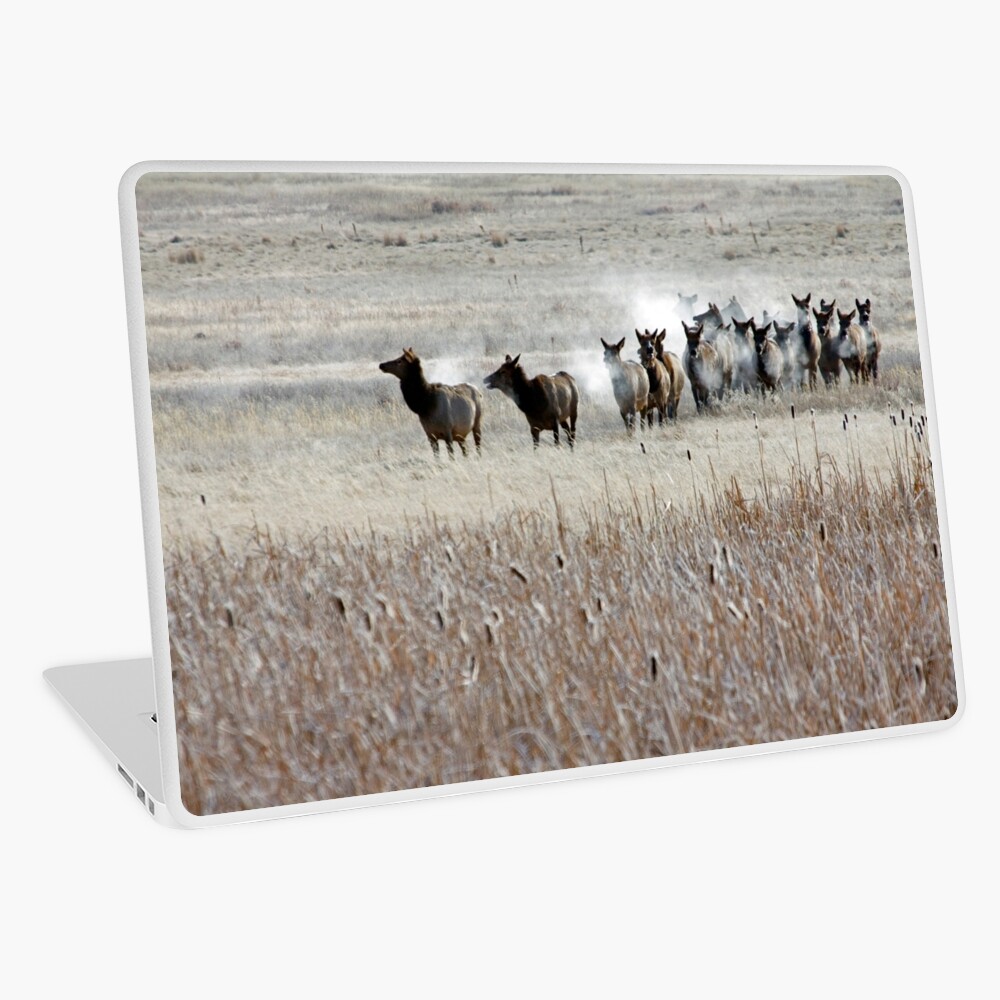 High Alert Laptop Skin