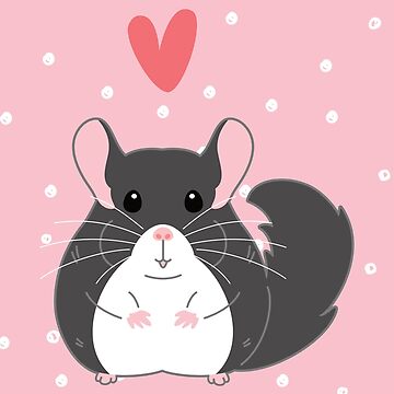 gif mignon de chinchilla