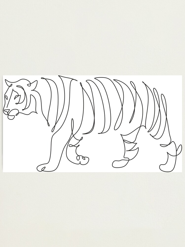 Free Vectors  Bengal tiger (whole body, with contour line)