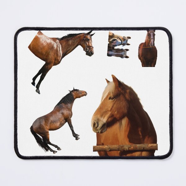 Item preview, 1st Thoughtful  Horse Stickers Bundle, Horse Lover Essential Package. Horses Stickers. Cute Animals Lover And Animal Adorer Sticker Set. Basic Mustang Sticker Kit. Cute Equestrian And Cowboy Packet designed and sold by AnimalStickers-.