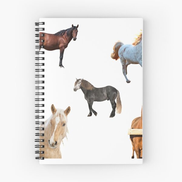 Item preview, 2nd Thoughtful  Horse Stickers Bundle, Horse Lover Essential Package. Horses Stickers. Cute Animals Lover And Animal Adorer Sticker Set. Basic Mustang Sticker Kit. Cute Equestrian And Cowboy Packet designed and sold by AnimalStickers-.