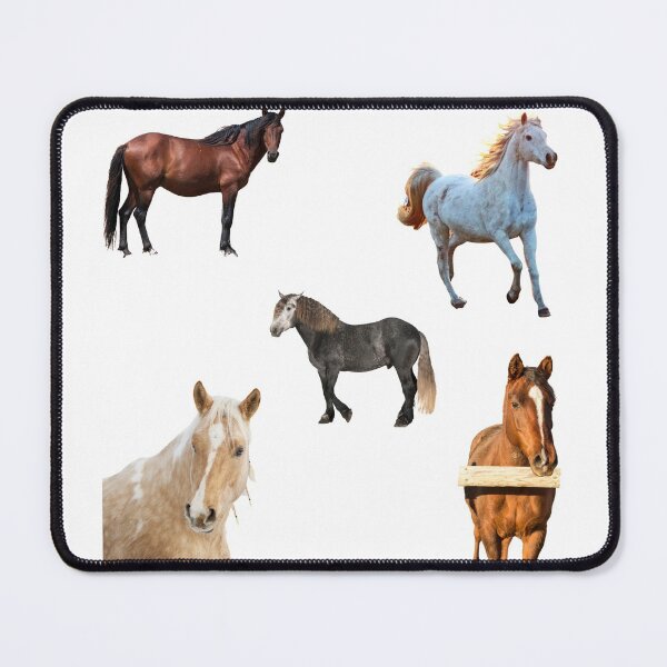 Item preview, 2nd Thoughtful  Horse Stickers Bundle, Horse Lover Essential Package. Horses Stickers. Cute Animals Lover And Animal Adorer Sticker Set. Basic Mustang Sticker Kit. Cute Equestrian And Cowboy Packet designed and sold by AnimalStickers-.