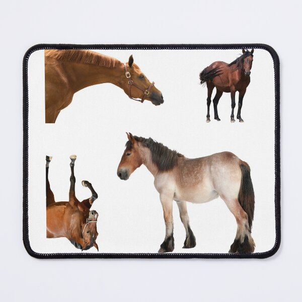 Item preview, 3rd Thoughtful  Horse Stickers Bundle, Horse Lover Essential Package. Horses Stickers. Cute Animals Lover And Animal Adorer Sticker Set. Basic Mustang Sticker Kit. Cute Equestrian And Cowboy Packet designed and sold by AnimalStickers-.