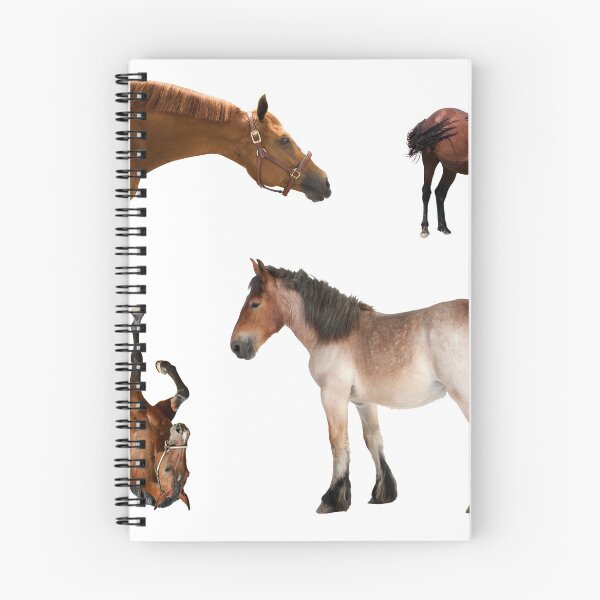 Item preview, 3rd Thoughtful  Horse Stickers Bundle, Horse Lover Essential Package. Horses Stickers. Cute Animals Lover And Animal Adorer Sticker Set. Basic Mustang Sticker Kit. Cute Equestrian And Cowboy Packet designed and sold by AnimalStickers-.