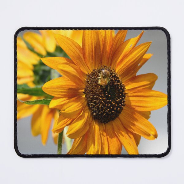 Item preview, Sunflowers and bumblebee designed and sold by ArboreSciences.