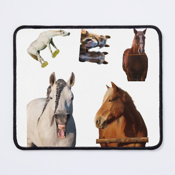 Item preview, 1st Unique  Horse Stickers Bundle, Horse Lover Essential Package. Horses Stickers. Cute Animals Lover And Animal Adorer Sticker Set. Basic Mustang Sticker Kit. Cute Equestrian And Cowboy Packet designed and sold by AnimalStickers-.