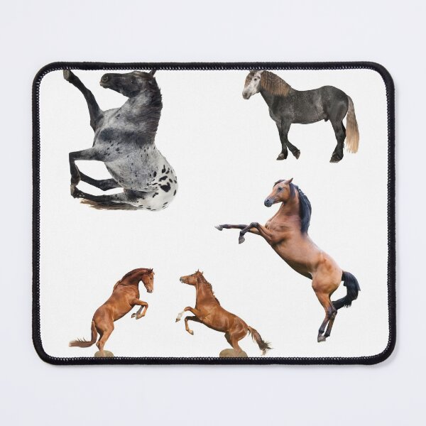Item preview, 3rd Unique  Horse Stickers Bundle, Horse Lover Essential Package. Horses Stickers. Cute Animals Lover And Animal Adorer Sticker Set. Basic Mustang Sticker Kit. Cute Equestrian And Cowboy Packet designed and sold by AnimalStickers-.