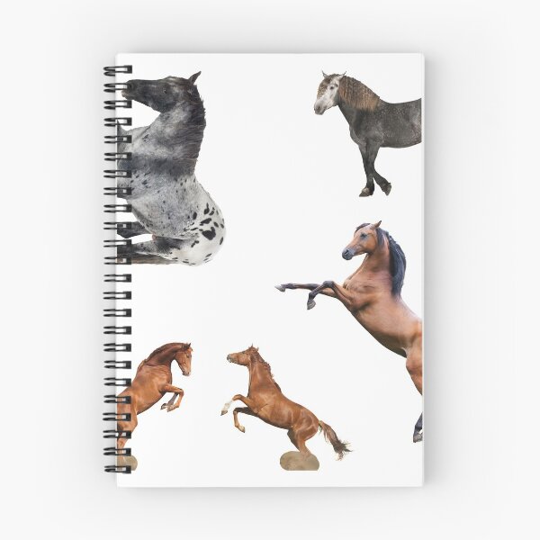 Item preview, 3rd Unique  Horse Stickers Bundle, Horse Lover Essential Package. Horses Stickers. Cute Animals Lover And Animal Adorer Sticker Set. Basic Mustang Sticker Kit. Cute Equestrian And Cowboy Packet designed and sold by AnimalStickers-.