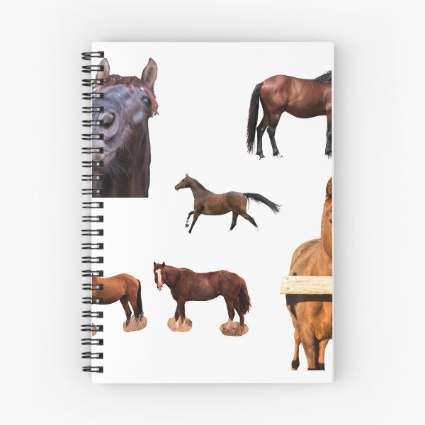 Item preview, 4th Unique  Horse Stickers Bundle, Horse Lover Essential Package. Horses Stickers. Cute Animals Lover And Animal Adorer Sticker Set. Basic Mustang Sticker Kit. Cute Equestrian And Cowboy Packet designed and sold by AnimalStickers-.