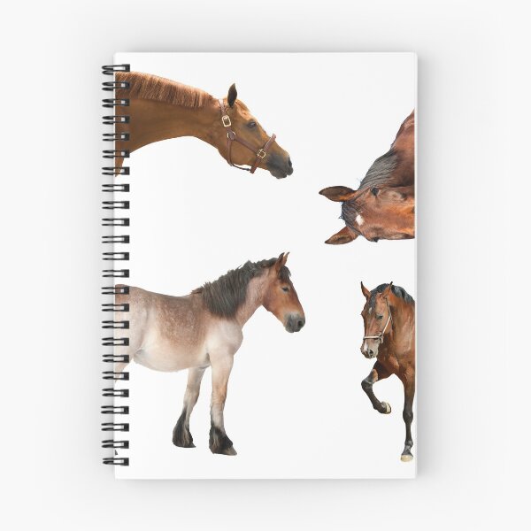 Item preview, 5th Unique  Horse Stickers Bundle, Horse Lover Essential Package. Horses Stickers. Cute Animals Lover And Animal Adorer Sticker Set. Basic Mustang Sticker Kit. Cute Equestrian And Cowboy Packet designed and sold by AnimalStickers-.