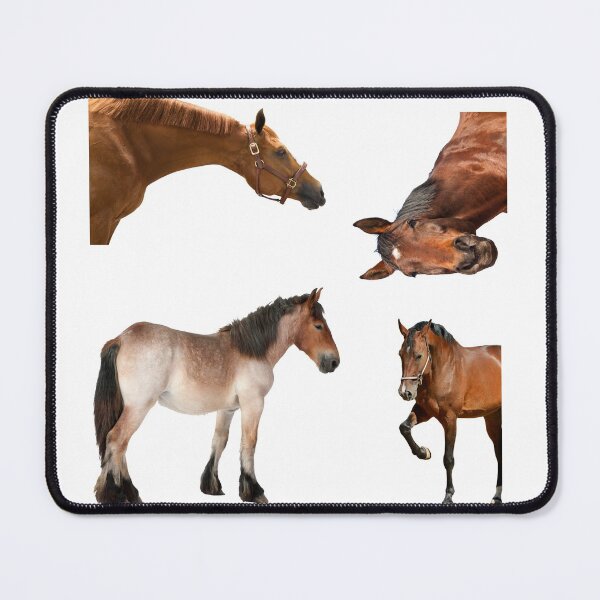 Item preview, 5th Unique  Horse Stickers Bundle, Horse Lover Essential Package. Horses Stickers. Cute Animals Lover And Animal Adorer Sticker Set. Basic Mustang Sticker Kit. Cute Equestrian And Cowboy Packet designed and sold by AnimalStickers-.