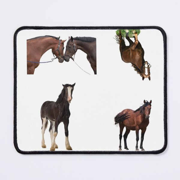 Item preview, 6th Unique Horse Stickers Bundle, Horse Lover Essential Package. Horses Stickers. Cute Animals Lover And Animal Adorer Sticker Set. Basic Mustang Sticker Kit. Cute Equestrian And Cowboy Packet designed and sold by AnimalStickers-.