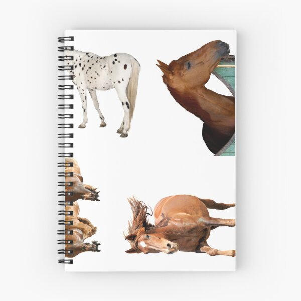 Item preview, 7th Unique  Horse Stickers Bundle, Horse Lover Essential Package. Horses Stickers. Cute Animals Lover And Animal Adorer Sticker Set. Basic Mustang Sticker Kit. Cute Equestrian And Cowboy Packet designed and sold by AnimalStickers-.