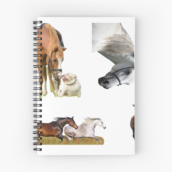 Item preview, 8th Unique  Horse Stickers Bundle, Horse Lover Essential Package. Horses Stickers. Cute Animals Lover And Animal Adorer Sticker Set. Basic Mustang Sticker Kit. Cute Equestrian And Cowboy Packet designed and sold by AnimalStickers-.
