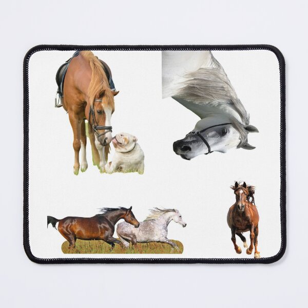 Item preview, 8th Unique  Horse Stickers Bundle, Horse Lover Essential Package. Horses Stickers. Cute Animals Lover And Animal Adorer Sticker Set. Basic Mustang Sticker Kit. Cute Equestrian And Cowboy Packet designed and sold by AnimalStickers-.