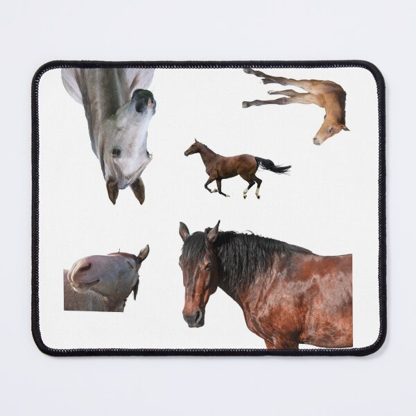 Item preview, 9th Unique  Horse Stickers Bundle, Horse Lover Essential Package. Horses Stickers. Cute Animals Lover And Animal Adorer Sticker Set. Basic Mustang Sticker Kit. Cute Equestrian And Cowboy Packet designed and sold by AnimalStickers-.