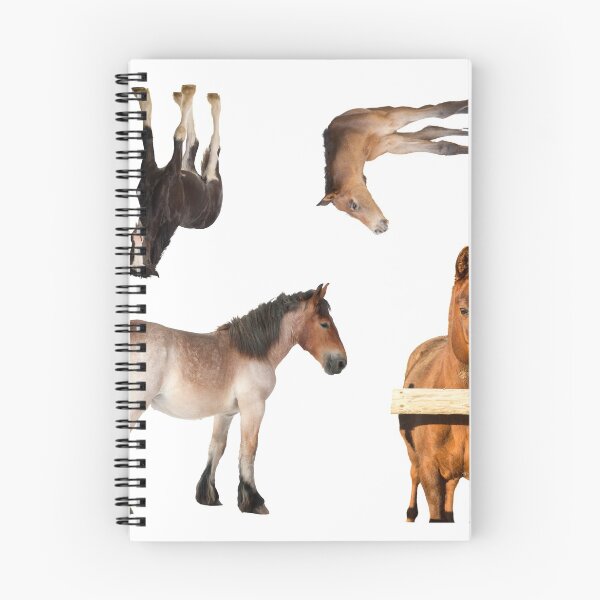 Item preview, 1st Young  Horse Stickers Bundle, Horse Lover Essential Package. Horses Stickers. Cute Animals Lover And Animal Adorer Sticker Set. Basic Mustang Sticker Kit. Cute Equestrian And Cowboy Packet designed and sold by AnimalStickers-.