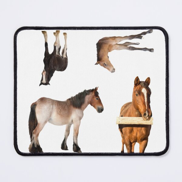 Item preview, 1st Young  Horse Stickers Bundle, Horse Lover Essential Package. Horses Stickers. Cute Animals Lover And Animal Adorer Sticker Set. Basic Mustang Sticker Kit. Cute Equestrian And Cowboy Packet designed and sold by AnimalStickers-.