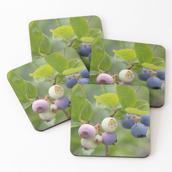 Artikelvorschau, Unreife Heidelbeeren entworfen und verkauft von Calidris Fotografie Steffi & Ben Köppler.