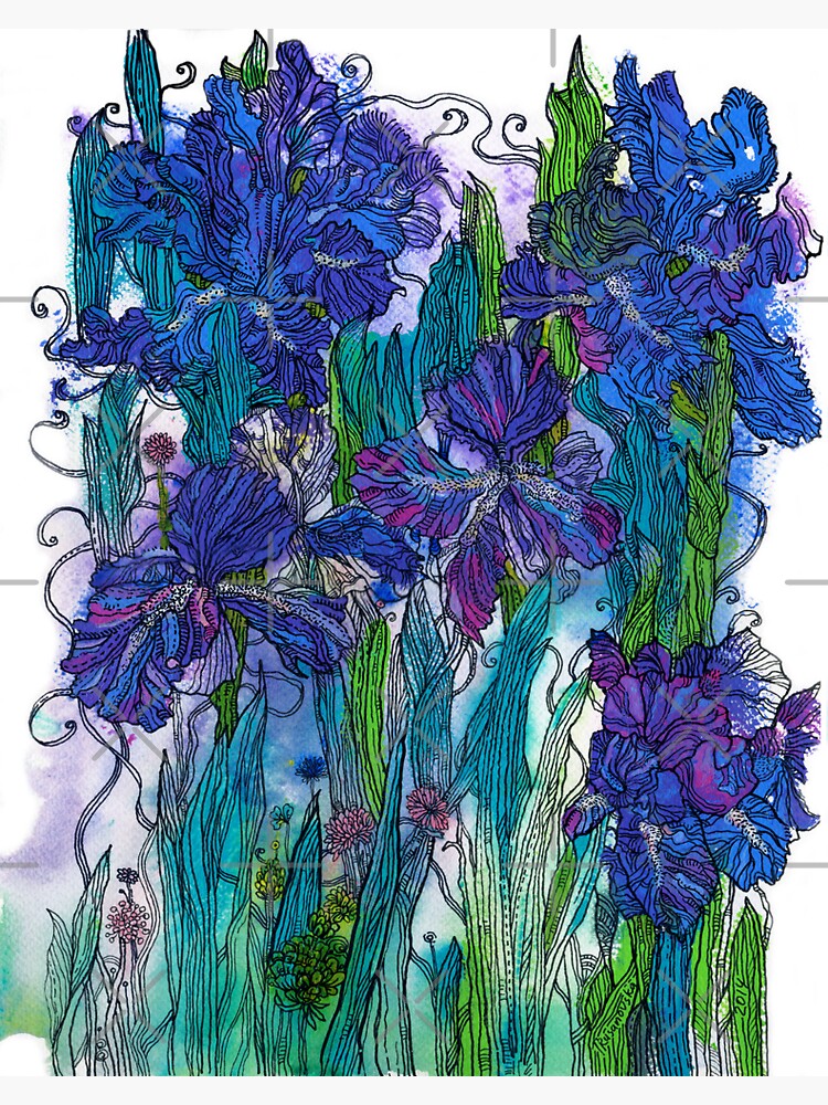 Blue Irises by rusanovska