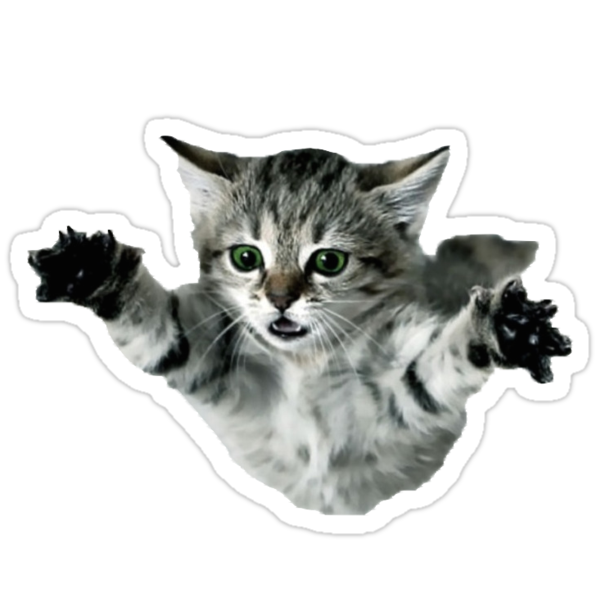  cat  Stickers by hcpeck Redbubble