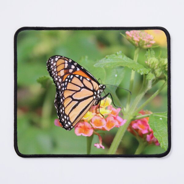 Item preview, Monarch Butterfly 6 designed and sold by Susie Kramer.