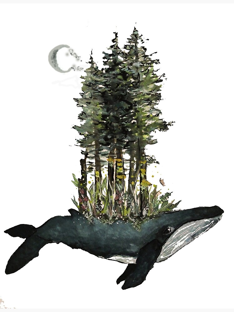 art whale gouache