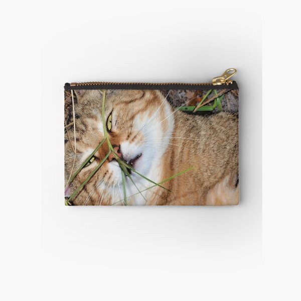 Item preview, Visiting ham designed and sold by B. Randi Bailey.