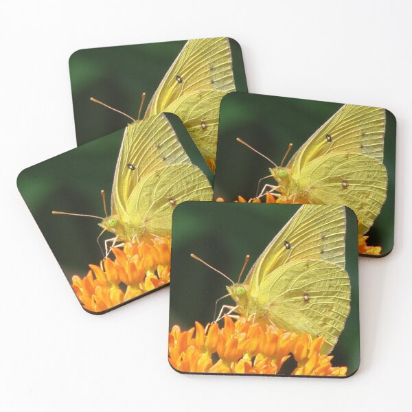 Item preview, Cloudless Sulphur On Butterfly Weed designed and sold by Jean Gregory Evans.