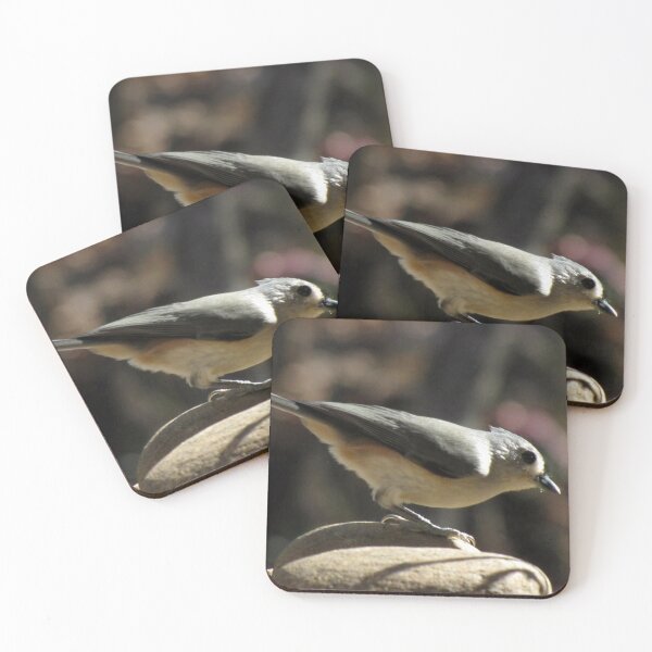 Item preview, Got Seeds? designed and sold by Jean Gregory Evans.