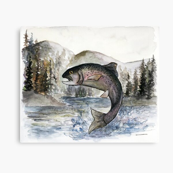 Rainbow Trout Canvas Prints