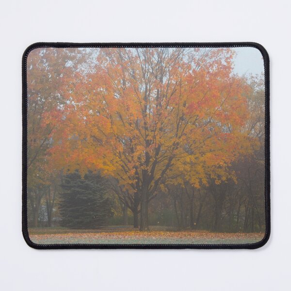 Item preview, My Favorite Tree designed and sold by Susie Kramer.