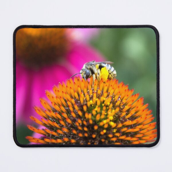 Item preview, Collecting Pollen designed and sold by Susie Kramer.