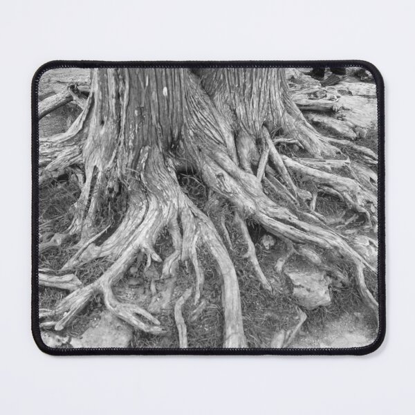 Item preview, Tree Roots designed and sold by Susie Kramer.