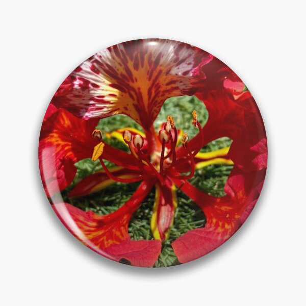 Item preview, Flamboyant  designed and sold by TereArzola.