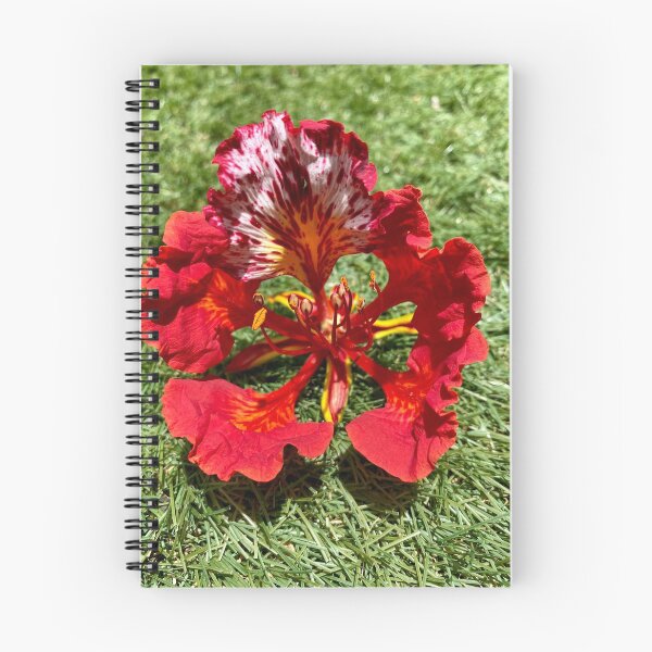 Item preview, Flamboyant  designed and sold by TereArzola.