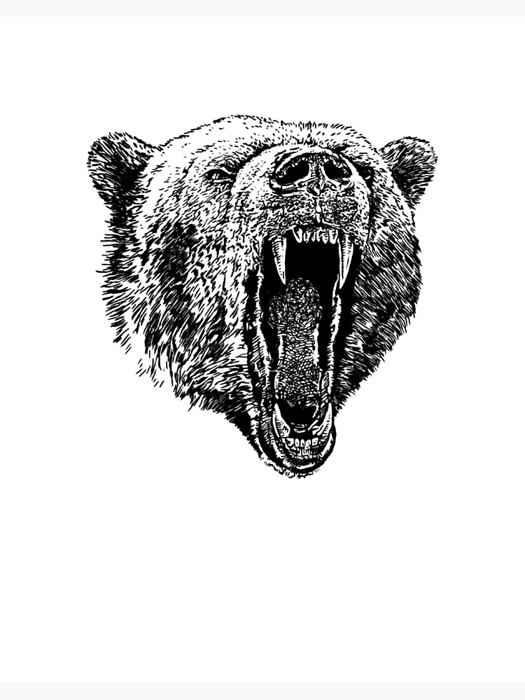 mean bear drawings