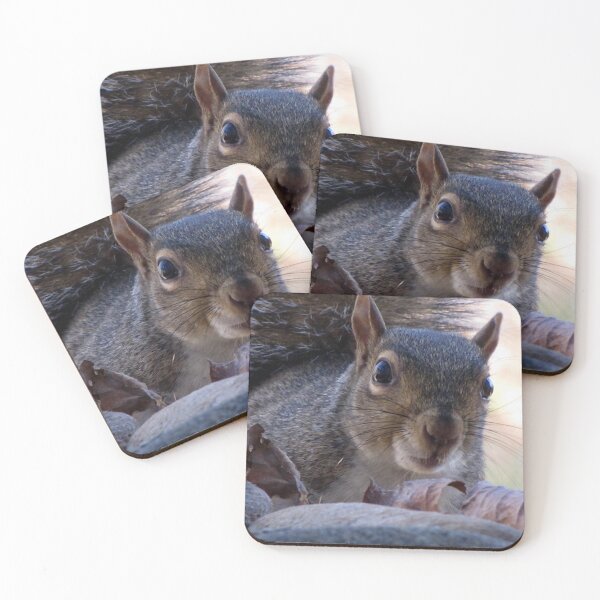 Item preview, Nosy Squirrel designed and sold by Jean Gregory Evans.