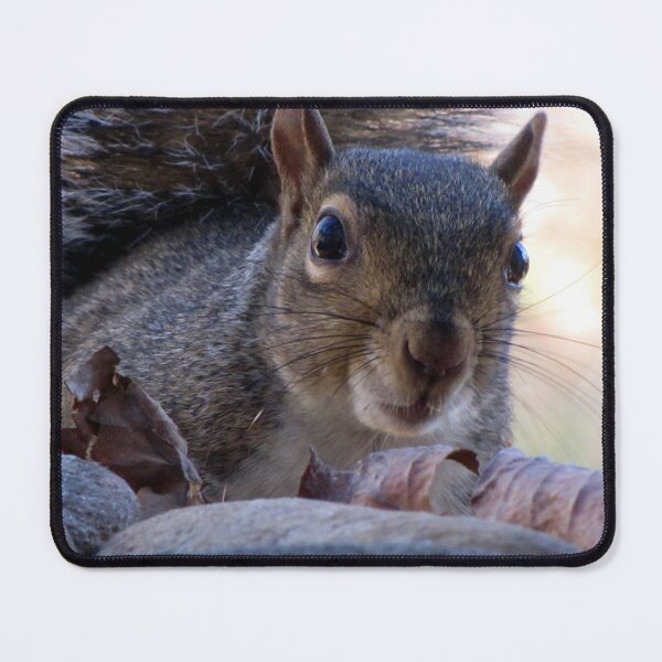 Item preview, Nosy Squirrel designed and sold by Jean Gregory Evans.
