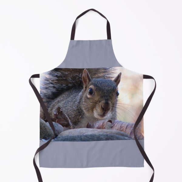 Item preview, Nosy Squirrel designed and sold by Jean Gregory Evans.