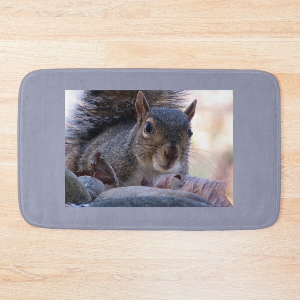 Item preview, Nosy Squirrel designed and sold by Jean Gregory Evans.