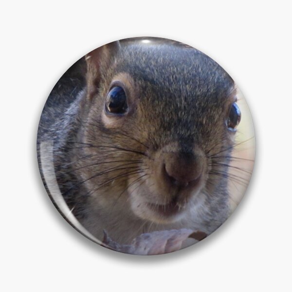 Item preview, Nosy Squirrel designed and sold by Jean Gregory Evans.