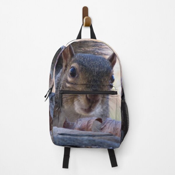 Item preview, Nosy Squirrel designed and sold by Jean Gregory Evans.