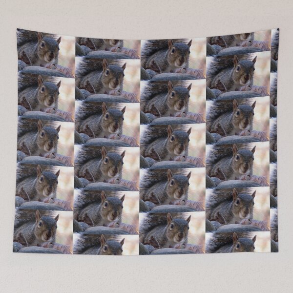 Item preview, Nosy Squirrel designed and sold by Jean Gregory Evans.