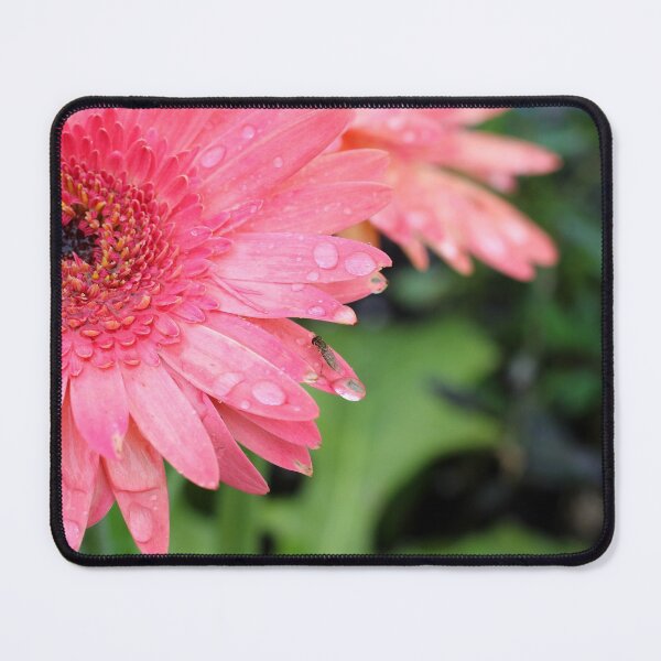 Item preview, Gerber Daisy Side designed and sold by Susie Kramer.