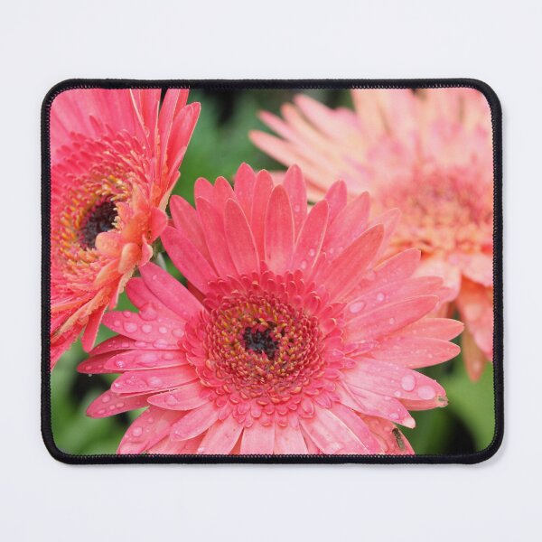 Item preview, Gerber Daisy Trio designed and sold by Susie Kramer.